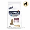 Advance Medium Senior Trockenfutter Für Hunde