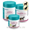 Astoral Almazyme Hund Und Katze -Vetena Geschäft almapharm astoral almazyme hund