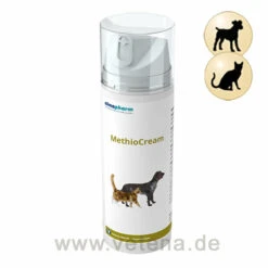 MethioCream Für Hunde & Katzen
