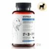 Animaux Gastro Balance 2 Animaux Gastro Balance -Vetena Geschäft animaux gastro balance hunde