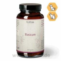 Basicum