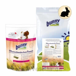 Bunny MeerschweinchenTraum Young