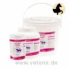 Canina Equolyt Arthro Forte -Vetena Geschäft canina equolyt arthro forte pferd