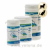 Canina Petvital Arthro-Tabletten -Vetena Geschäft canina petvital arthro tabletten hund katze