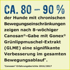 Boehringer Ingelheim Canosan Für Hunde -Vetena Geschäft canosan hund boehringer ingelheim4