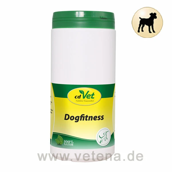 CdVet Dogfitness 3 CdVet Dogfitness