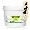 CdVet InsektoVet Kieselgur Liquid Powder -Vetena Geschäft cdvet insektovet kieselgur liquid powder