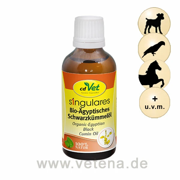 CdVet Singulares Bio-Ägyptisches Schwarzkümmelöl 3 CdVet Singulares Bio-Ägyptisches Schwarzkümmelöl
