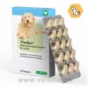 VivoSyn Für Hunde 1 VivoSyn Für Hunde -Vetena Geschäft cp pharma vivosyn fuer hunde