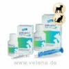 Prevantil Vital-Kur Hund & Katze 1 Prevantil Vital-Kur Hund & Katze -Vetena Geschäft elanco prevantil vital kur hund katze