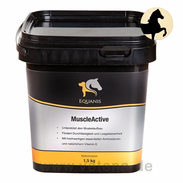 Equanis MuscleActive Für Pferde 3 Equanis MuscleActive Für Pferde