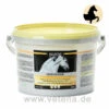 Equistro Myo Power Pferd -Vetena Geschäft equistro myo power