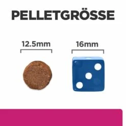 Hill's Gastrointestinal Biome Trockenfutter Für Hunde 9 Hill's Gastrointestinal Biome Trockenfutter Für Hunde -Vetena Geschäft hills gastrointestinal biome trocken hund4
