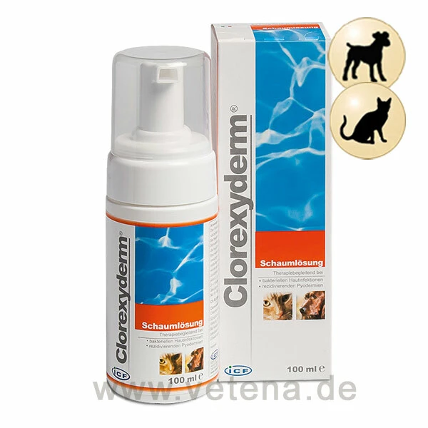 Clorexyderm Schaumlösung 3 Clorexyderm Schaumlösung