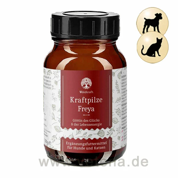 Kraftpilze Freya - Vitalpilz Synergetikum Für Hunde & Katzen 3 Kraftpilze Freya - Vitalpilz Synergetikum Für Hunde & Katzen