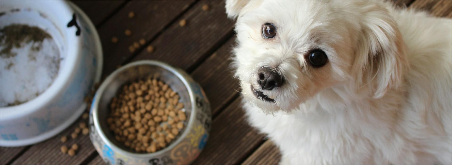 Vetena Geschäft -Vetena Geschäft m burke l1UsjV2WrNM unsplash