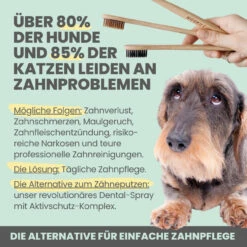 Noms+ Dental-Spray Für Hunde & Katzen -Vetena Geschäft nomsplus dental spray hund katze5