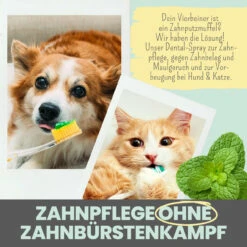 Noms+ Dental-Spray Für Hunde & Katzen -Vetena Geschäft nomsplus dental spray hund katze6