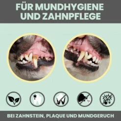 Noms+ Dental-Spray Für Hunde & Katzen -Vetena Geschäft nomsplus dental spray hund katze7