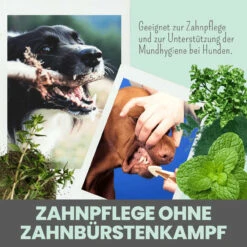 Noms+ Dentalmix Für Hunde -Vetena Geschäft nomsplus dentalmix hunde4