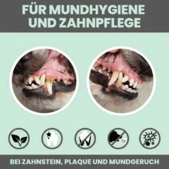 Noms+ Dentalmix Für Hunde -Vetena Geschäft nomsplus dentalmix hunde5