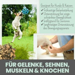 Noms+ Gelenkmix Für Hunde & Katzen -Vetena Geschäft nomsplus gelenkmix hunde katzen4