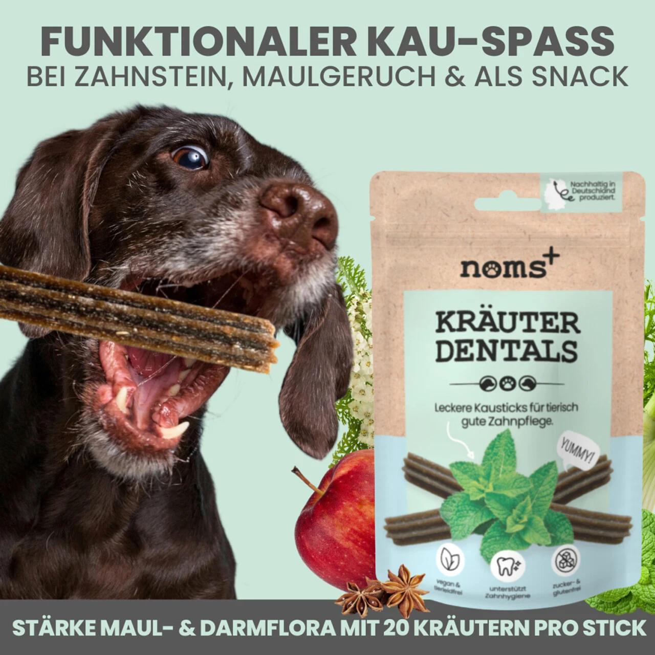 Noms+ Kräuter Dentals Für Hunde 5 Noms+ Kräuter Dentals Für Hunde – Bild 3