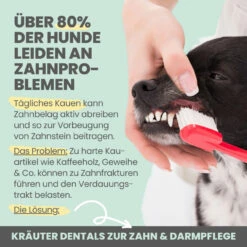 Noms+ Kräuter Dentals Für Hunde 9 Noms+ Kräuter Dentals Für Hunde -Vetena Geschäft nomsplus kraeuter dentals hunde4