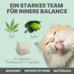 Noms+ Wohlfühlpaste Für Katzen -Vetena Geschäft nomsplus wohlfuehlpaste hunde6