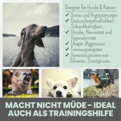 Noms+ Wohlfühltabs Für Hunde & Katzen -Vetena Geschäft nomsplus wohlfuehltabs hund katze6