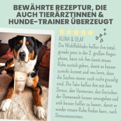Noms+ Wohlfühltabs Für Hunde & Katzen -Vetena Geschäft nomsplus wohlfuehltabs hund katze7