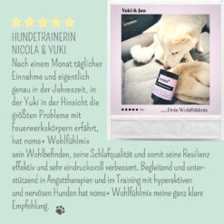 Noms+ Wohlfühltabs Für Hunde & Katzen -Vetena Geschäft nomsplus wohlfuehltabs hund katze9