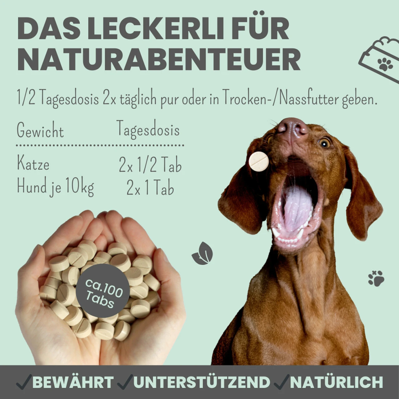 Noms+ Zistrosen Tabs Für Hunde & Katzen 5 Noms+ Zistrosen Tabs Für Hunde & Katzen – Bild 3
