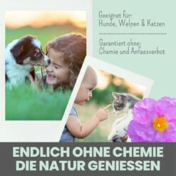 Noms+ Zistrosen Tabs Für Hunde & Katzen 12 Noms+ Zistrosen Tabs Für Hunde & Katzen -Vetena Geschäft nomsplus zistrosen tabs hunde katzen5