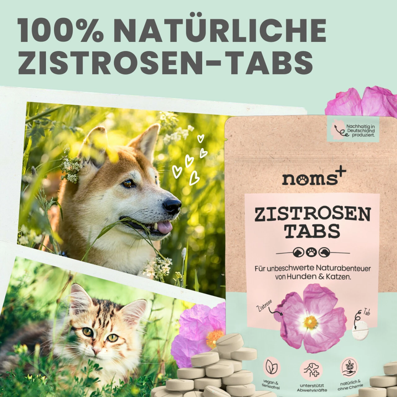 Noms+ Zistrosen Tabs Für Hunde & Katzen 8 Noms+ Zistrosen Tabs Für Hunde & Katzen – Bild 6