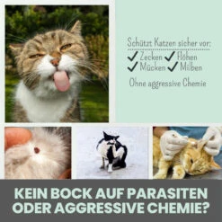 Noms+ Zpot-on Für Katzen -Vetena Geschäft nomsplus zpot on katzen8