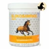 NutriLabs Glukosaminol Equin -Vetena Geschäft nutrilabs glukosaminol equin pferd