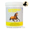 NutriLabs Supersulf MSM Equin 2 NutriLabs Supersulf MSM Equin -Vetena Geschäft nutrilabs supersulf msm equin pferd