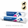 Orozyme Zahnpflege-Gel -Vetena Geschäft orozyme zahnpflege gel