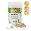 PlantaVet ArthroRegén Für Hunde, Katzen & Nager 2 PlantaVet ArthroRegén Für Hunde, Katzen & Nager -Vetena Geschäft plantavet arthroregen heimtiere