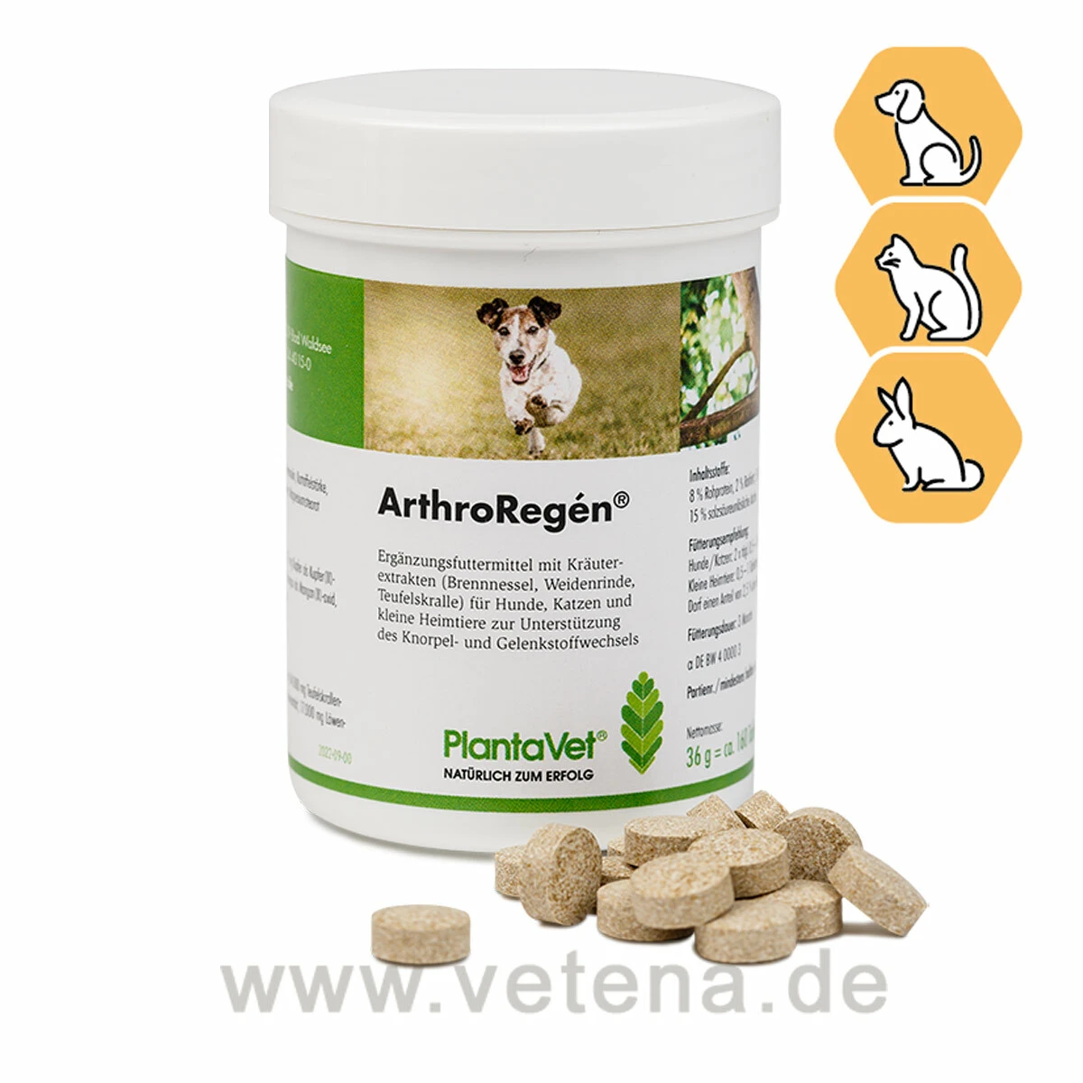 PlantaVet ArthroRegén Für Hunde, Katzen & Nager 3 PlantaVet ArthroRegén Für Hunde, Katzen & Nager