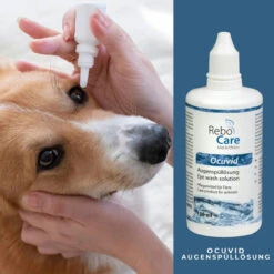 ReboCare Ocuvid Augenspüllösung 9 ReboCare Ocuvid Augenspüllösung -Vetena Geschäft rebocare ocuvid augenspuelloesung tiere4