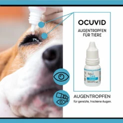 ReboCare Ocuvid Augentropfen Für Tiere -Vetena Geschäft rebocare ocuvid augentropfen tiere3