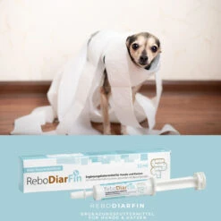 ReboVet ReboDiarFin Für Hunde & Katzen -Vetena Geschäft rebodiarfin hund katze4