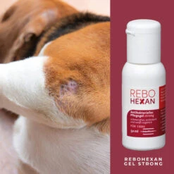 ReboHexan Gel Strong -Vetena Geschäft rebohexan gel strong tiere4