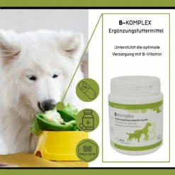 ReboVet B-Komplex Für Hunde 10 ReboVet B-Komplex Für Hunde -Vetena Geschäft rebopharm b komplex hund3