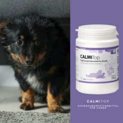 ReboVet CALMITop Für Hunde -Vetena Geschäft rebopharm calmitop hund3