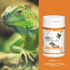 ReboVet REBOMin Für Vögel & Reptilien -Vetena Geschäft rebopharm rebomin kleintier4