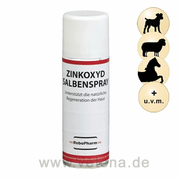 ReboPharm Zinkoxyd Salbenspray 3 ReboPharm Zinkoxyd Salbenspray