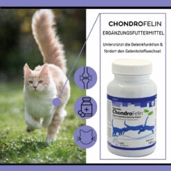ReboTabs ChondroFelin Für Katzen -Vetena Geschäft rebotabs chondrofelin katze3